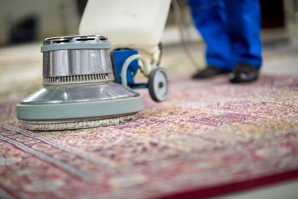 Professional Carpet Cleaning in Miami